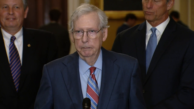 Sen. Mitch McConnell, R-Ky., appears to freeze up during a press availability on Capitol Hill Wednesday. (POOL)